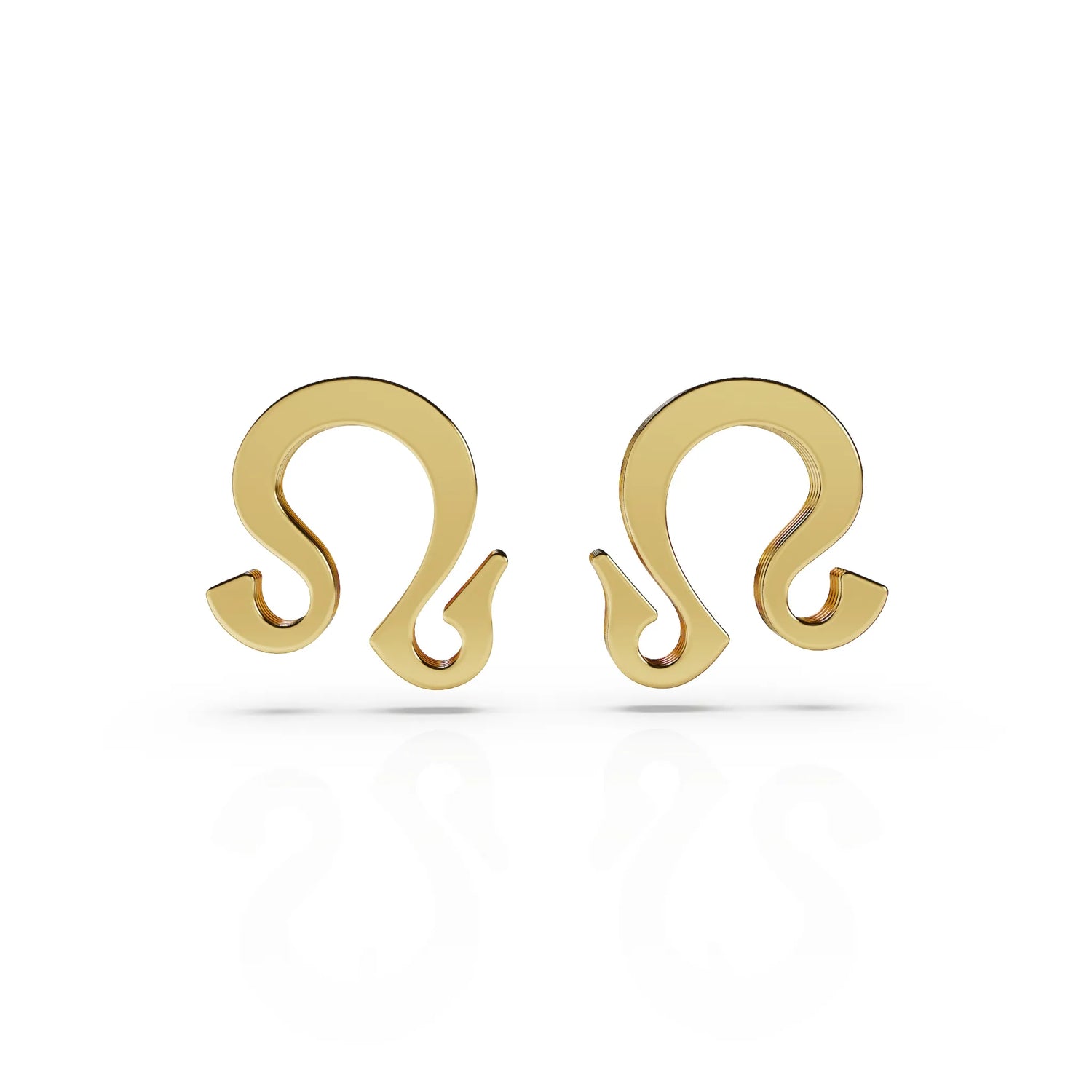 Pseudocircle Earring